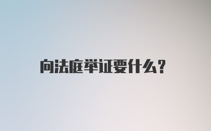 向法庭举证要什么？