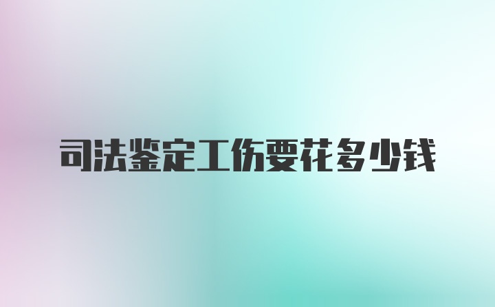 司法鉴定工伤要花多少钱