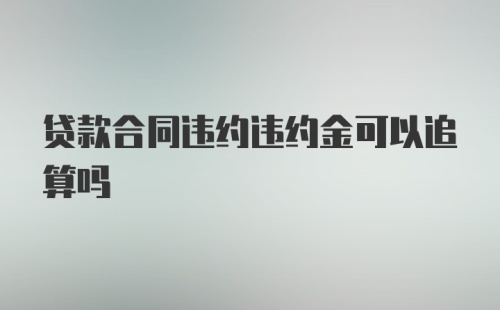 贷款合同违约违约金可以追算吗