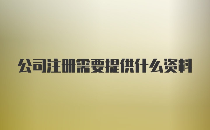 公司注册需要提供什么资料