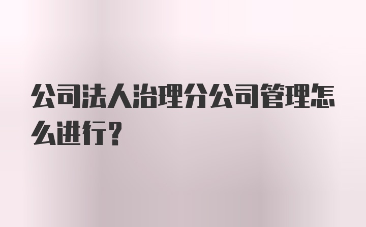 公司法人治理分公司管理怎么进行?