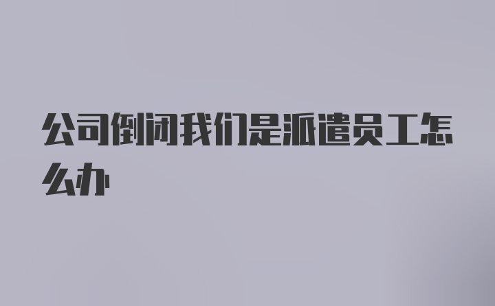 公司倒闭我们是派遣员工怎么办