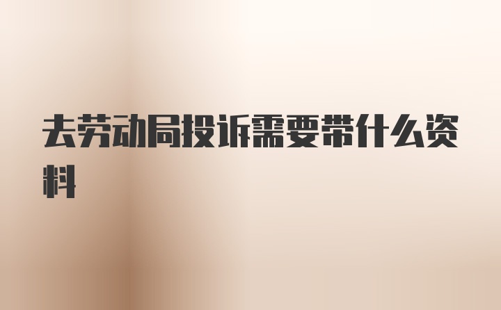 去劳动局投诉需要带什么资料