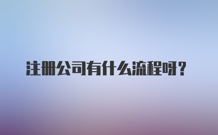 注册公司有什么流程呀?