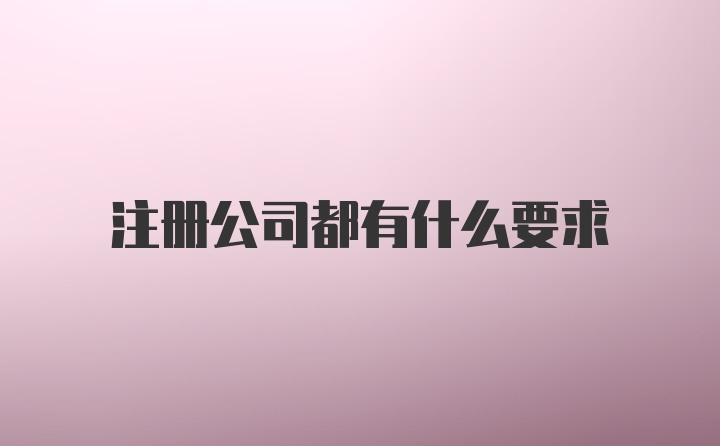 注册公司都有什么要求