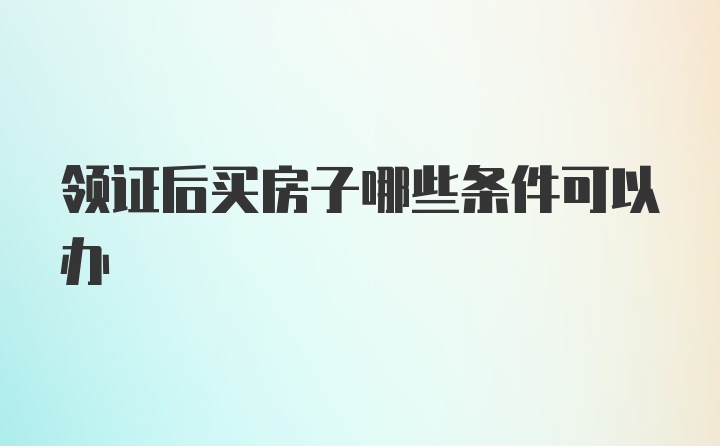 领证后买房子哪些条件可以办