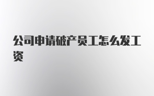 公司申请破产员工怎么发工资