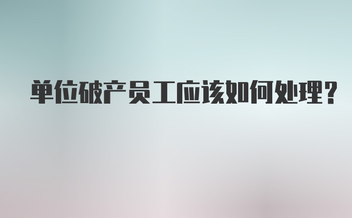 单位破产员工应该如何处理？