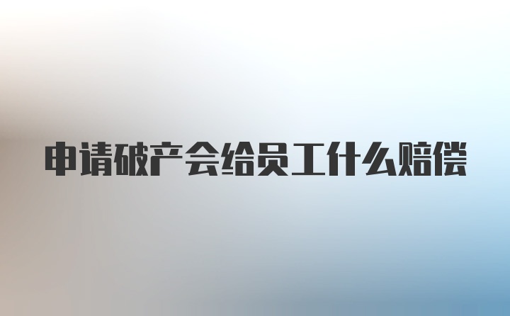 申请破产会给员工什么赔偿