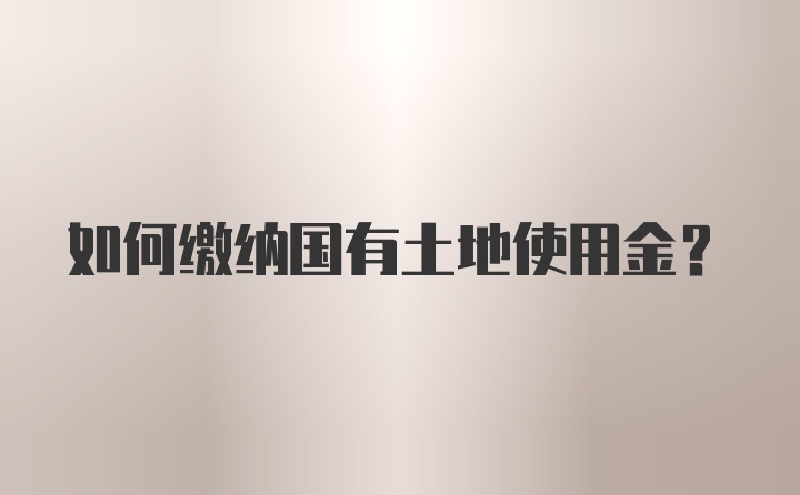 如何缴纳国有土地使用金？