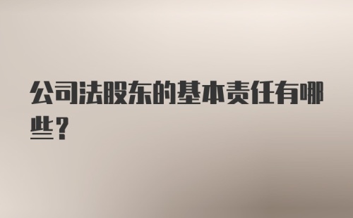 公司法股东的基本责任有哪些?