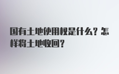 国有土地使用权是什么？怎样将土地收回？