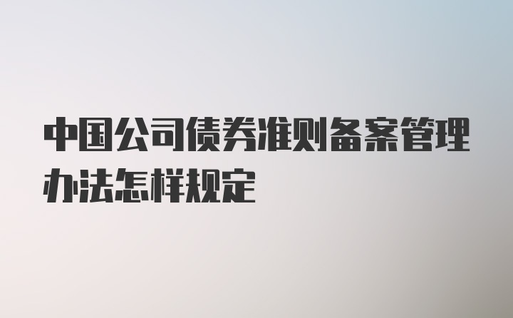 中国公司债券准则备案管理办法怎样规定