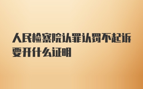 人民检察院认罪认罚不起诉要开什么证明