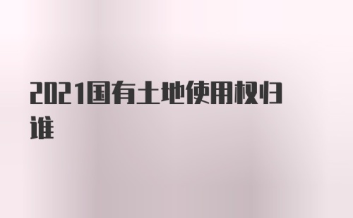 2021国有土地使用权归谁