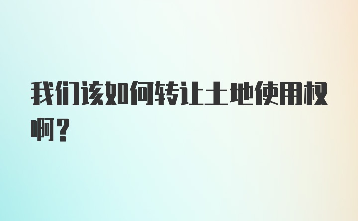 我们该如何转让土地使用权啊?