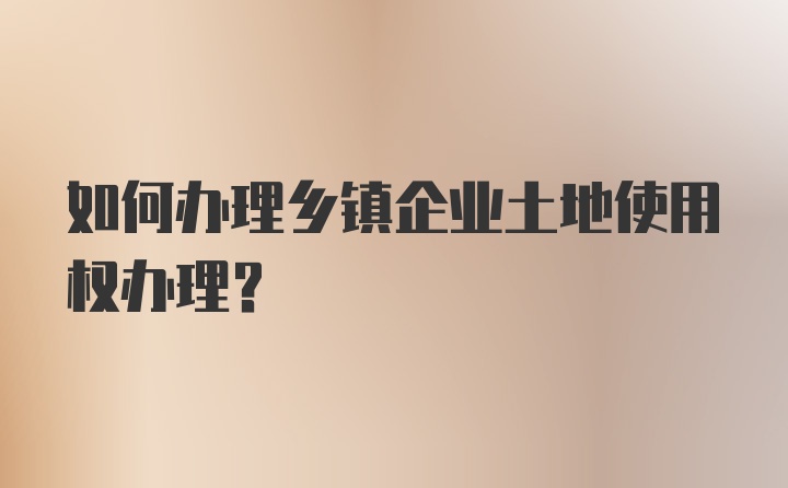 如何办理乡镇企业土地使用权办理？