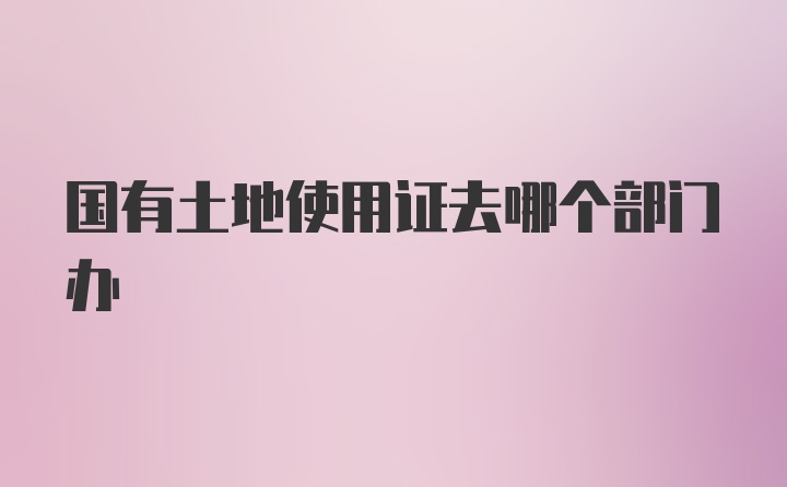 国有土地使用证去哪个部门办