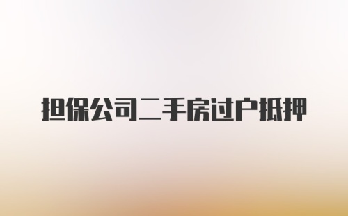 担保公司二手房过户抵押