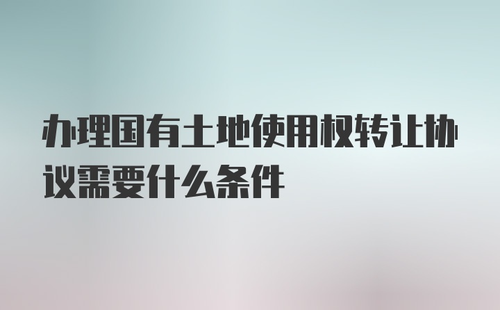 办理国有土地使用权转让协议需要什么条件