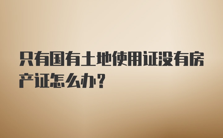 只有国有土地使用证没有房产证怎么办？