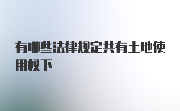 有哪些法律规定共有土地使用权下