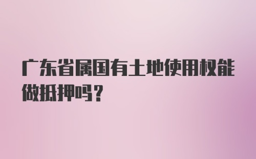 广东省属国有土地使用权能做抵押吗？