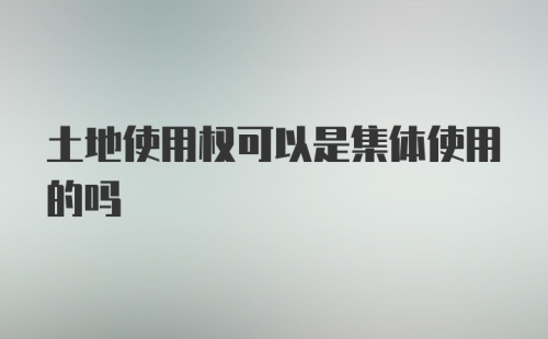 土地使用权可以是集体使用的吗