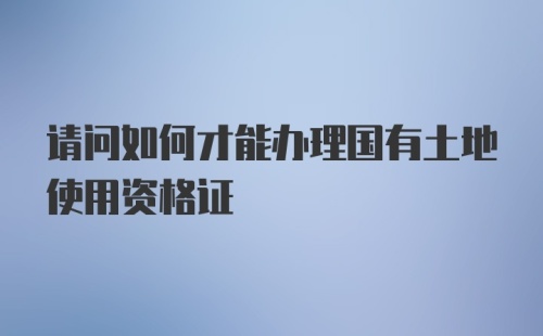 请问如何才能办理国有土地使用资格证