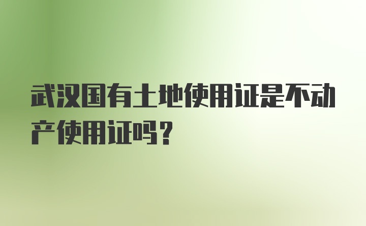 武汉国有土地使用证是不动产使用证吗？