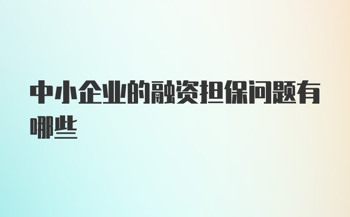 中小企业的融资担保问题有哪些