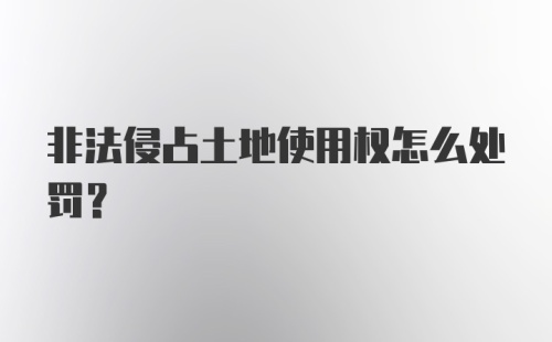 非法侵占土地使用权怎么处罚？