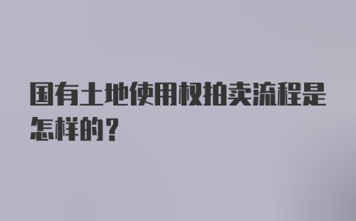 国有土地使用权拍卖流程是怎样的?