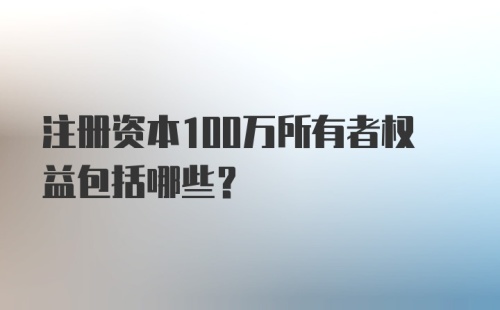 注册资本100万所有者权益包括哪些？