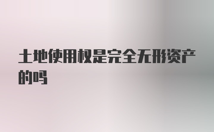 土地使用权是完全无形资产的吗