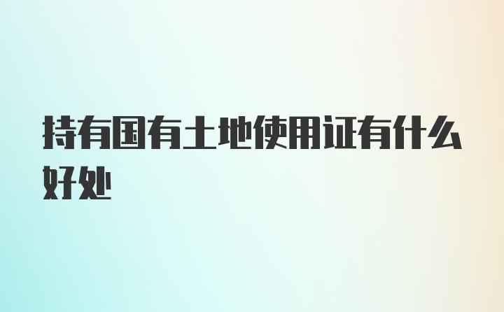 持有国有土地使用证有什么好处