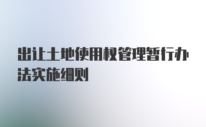 出让土地使用权管理暂行办法实施细则