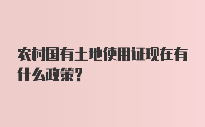 农村国有土地使用证现在有什么政策？