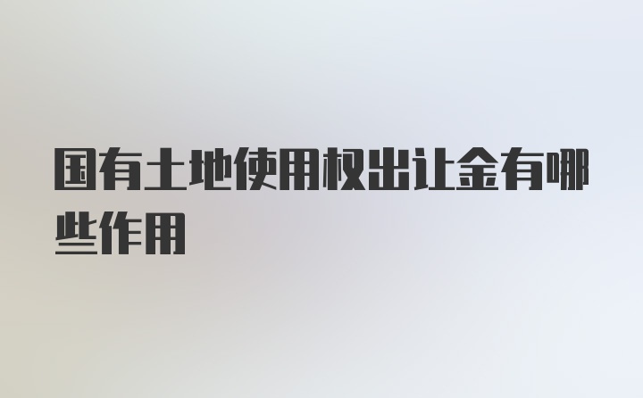 国有土地使用权出让金有哪些作用