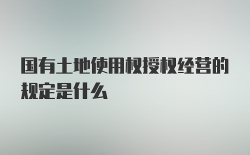 国有土地使用权授权经营的规定是什么