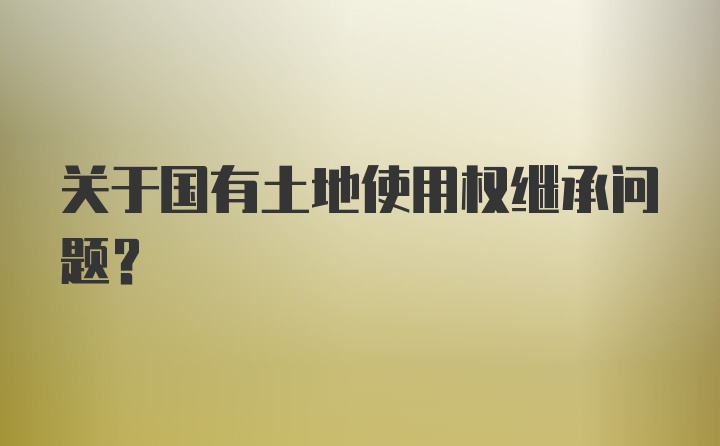 关于国有土地使用权继承问题？