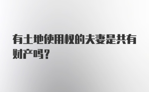 有土地使用权的夫妻是共有财产吗?