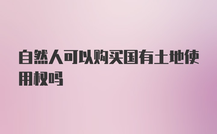 自然人可以购买国有土地使用权吗