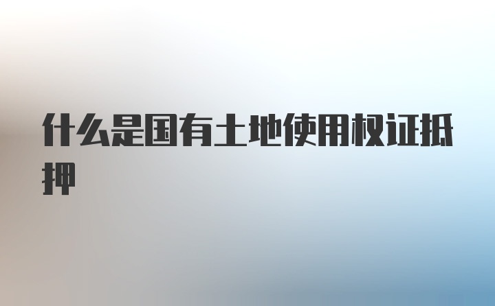 什么是国有土地使用权证抵押