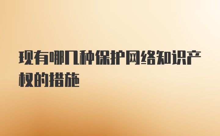 现有哪几种保护网络知识产权的措施