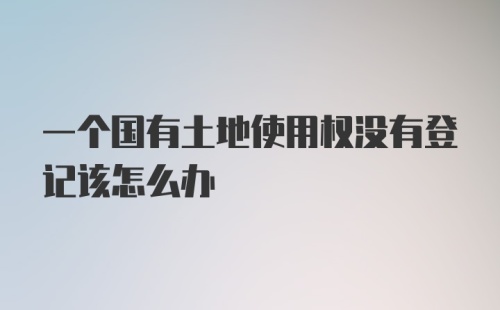 一个国有土地使用权没有登记该怎么办