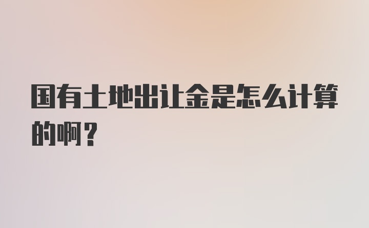 国有土地出让金是怎么计算的啊？