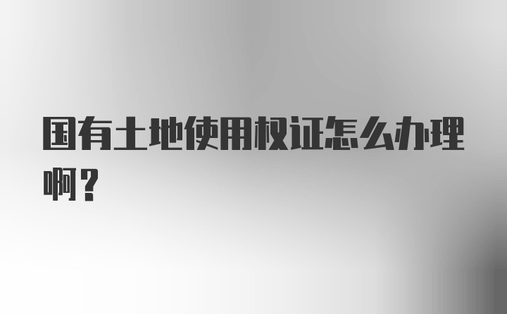 国有土地使用权证怎么办理啊？