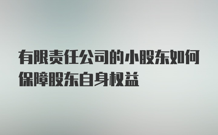 有限责任公司的小股东如何保障股东自身权益