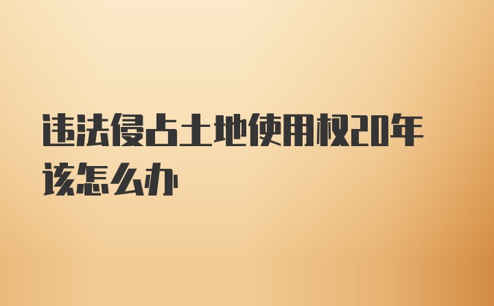 违法侵占土地使用权20年该怎么办